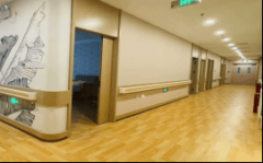 护理费按五级分级评估系统收取：Ⅰ级根本护理